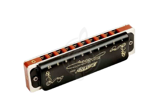 Диатоническая губная гармошка EASTTOP T008K Paddy G - Диатоническая губная гармошка - фото 1