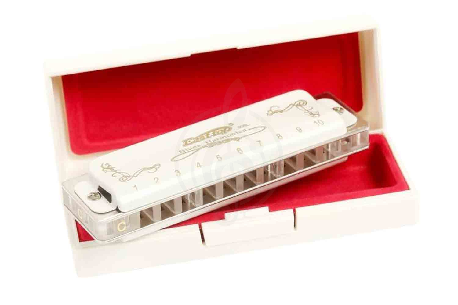 Диатоническая губная гармошка EASTTOP T008L F - Диатоническая губная гармошка - фото 5