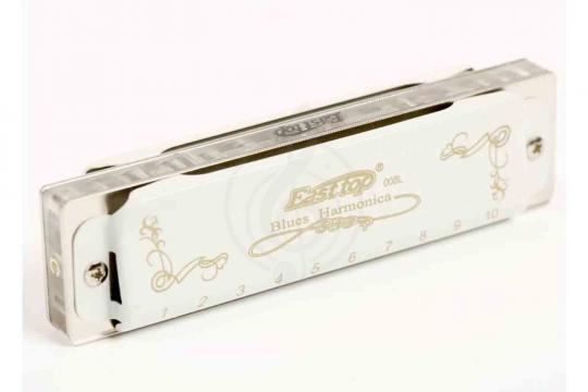 Диатоническая губная гармошка EASTTOP T008L G - Диатоническая губная гармошка - фото 4