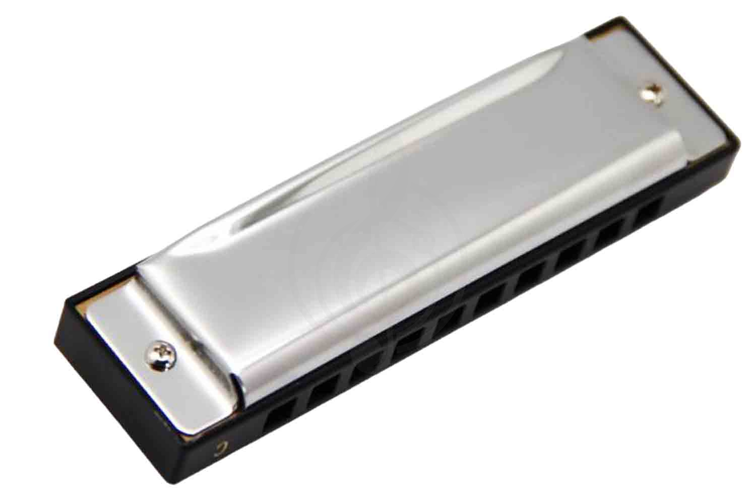 Диатоническая губная гармошка EASTTOP T10-3 G - Диатоническая губная гармошка - фото 2