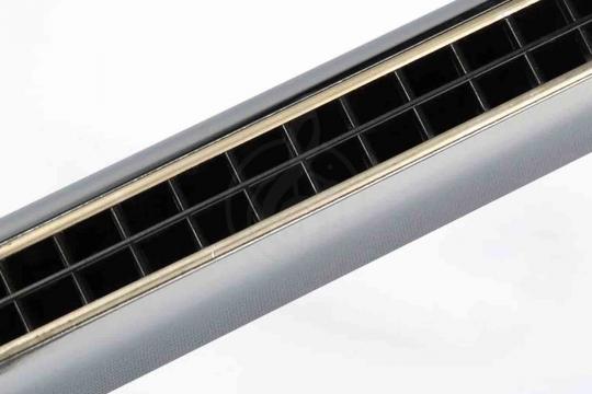Тремоло губные гармошки EASTTOP T2406 - Гармошка губная тремоло - фото 6