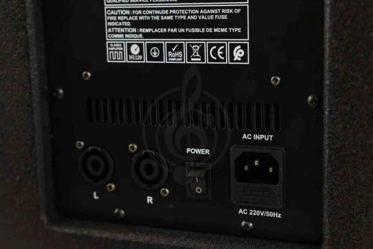 Активная акустическая система ENLEMA APS 1000 DSP - Активная акустическая система - фото 8