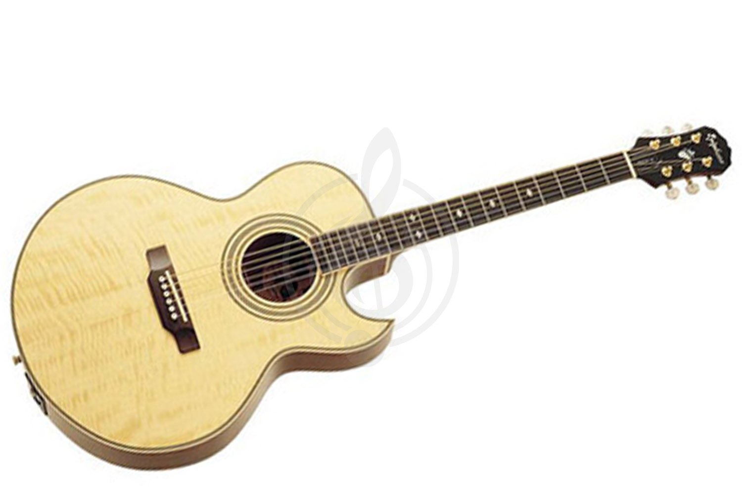 Акустическая гитара EPIPHONE PR-5E NATURAL GOLD HDWE (w/ Shadow Preamp) - Электроакустическая гитара - фото 1