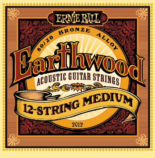 Струны для акустической гитары Ernie Ball 2012 струны для 12стр ак. гитары, 11-52 - фото 1