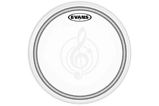 Изображение Evans B12EC2S