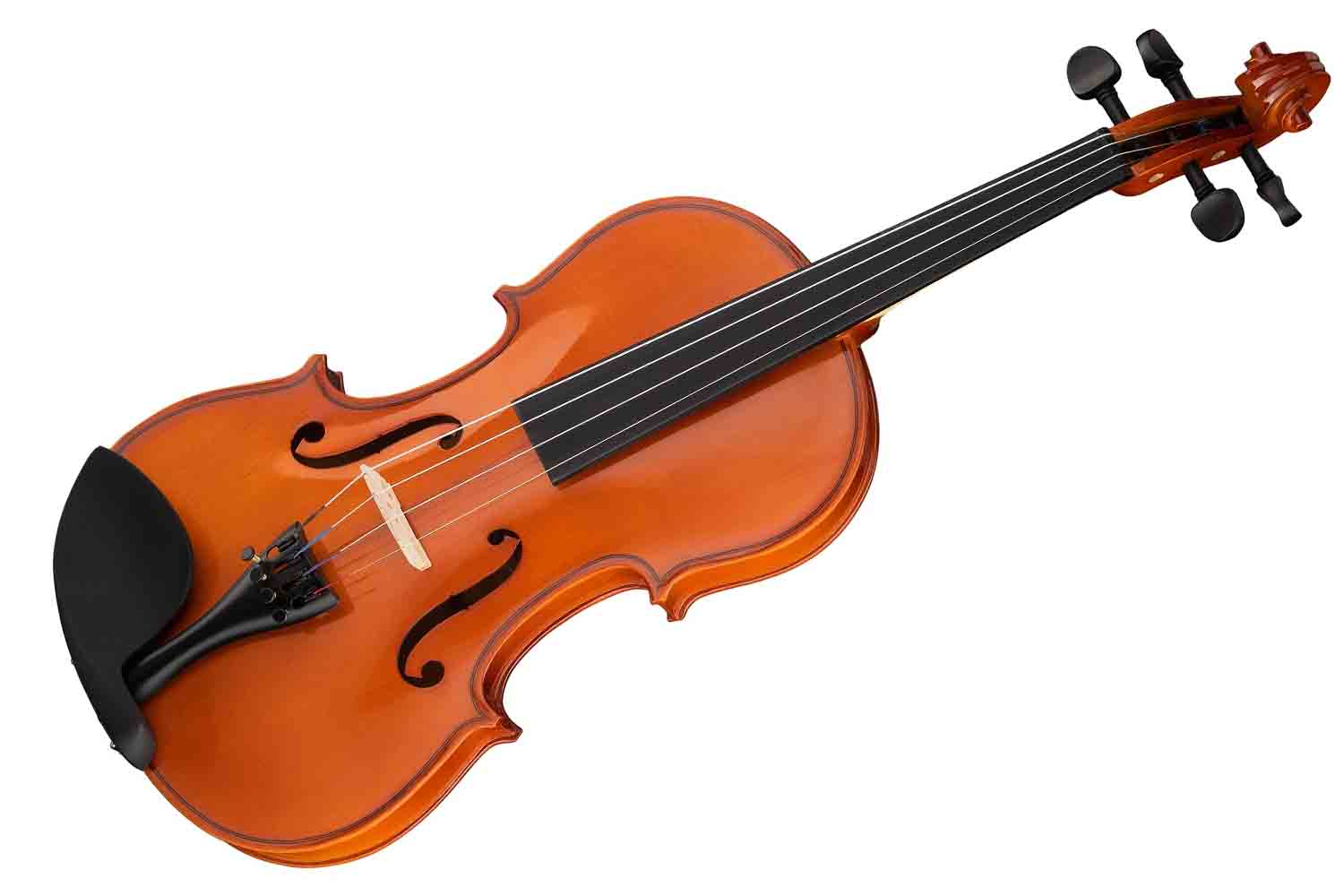 Скрипка 4/4 Fleet FLT-VP4/4 - Скрипка ученическая  - фото 1