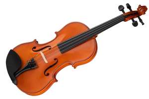 Изображение Fleet FLT-VP4/4 - Скрипка ученическая 