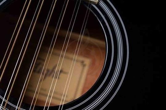 Электроакустическая гитара FLIGHT D-200/12 BK EQ - Элекстроакустическая гитара - фото 10