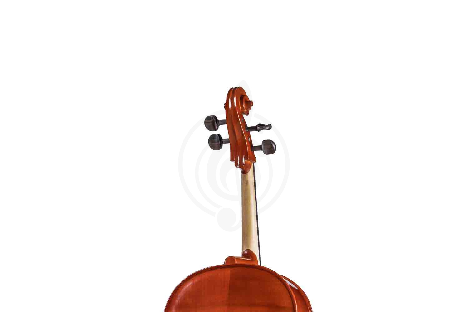 Виолончель 1/2 Gliga B-C012 Beginer Genial 2 Nitro - Виолончель 1/2 - фото 2