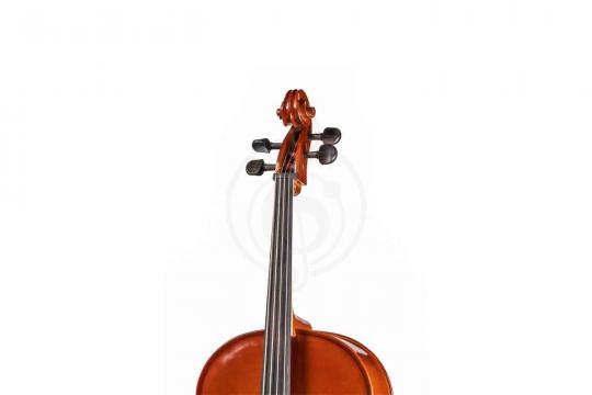 Виолончель 1/2 Gliga B-C012 Beginer Genial 2 Nitro - Виолончель 1/2 - фото 5