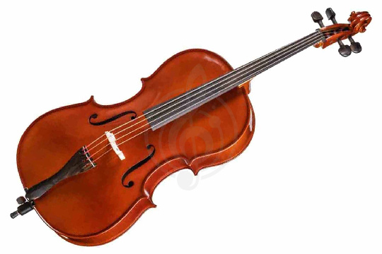 Виолончель 1/2 Gliga B-C012 Beginer Genial 2 Nitro - Виолончель 1/2 - фото 1