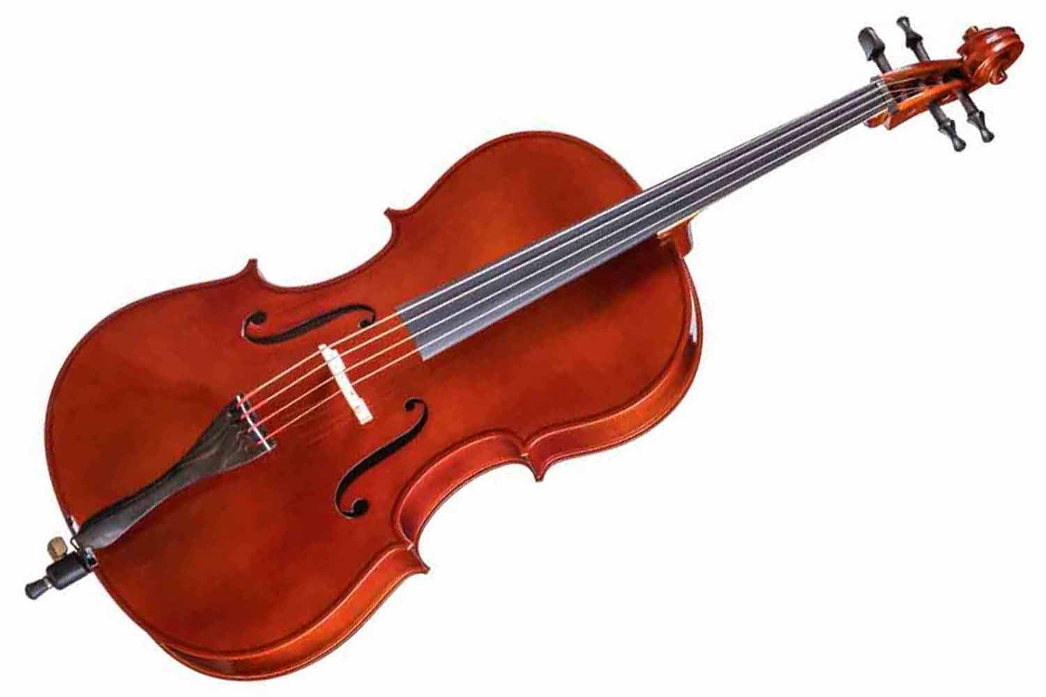 Виолончель 1/2 Gliga B-C012-L Beginer Genial 2 Nitro Laminated - Виолончель 1/2 - фото 1