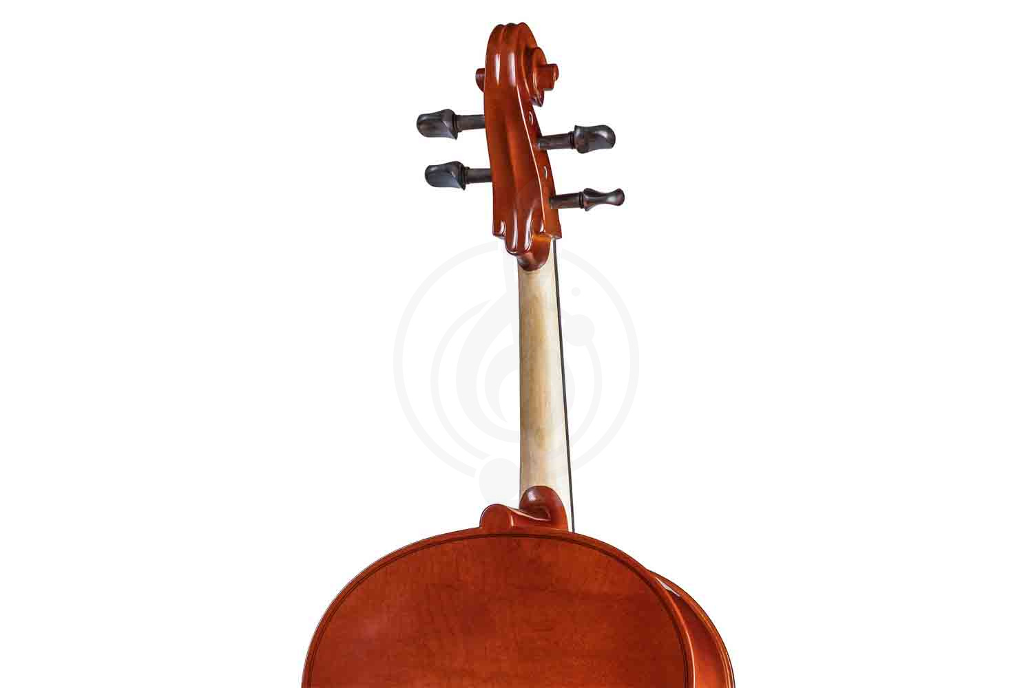 Виолончель 1/2 Gliga B-C012-L Beginer Genial 2 Nitro Laminated - Виолончель 1/2 - фото 2