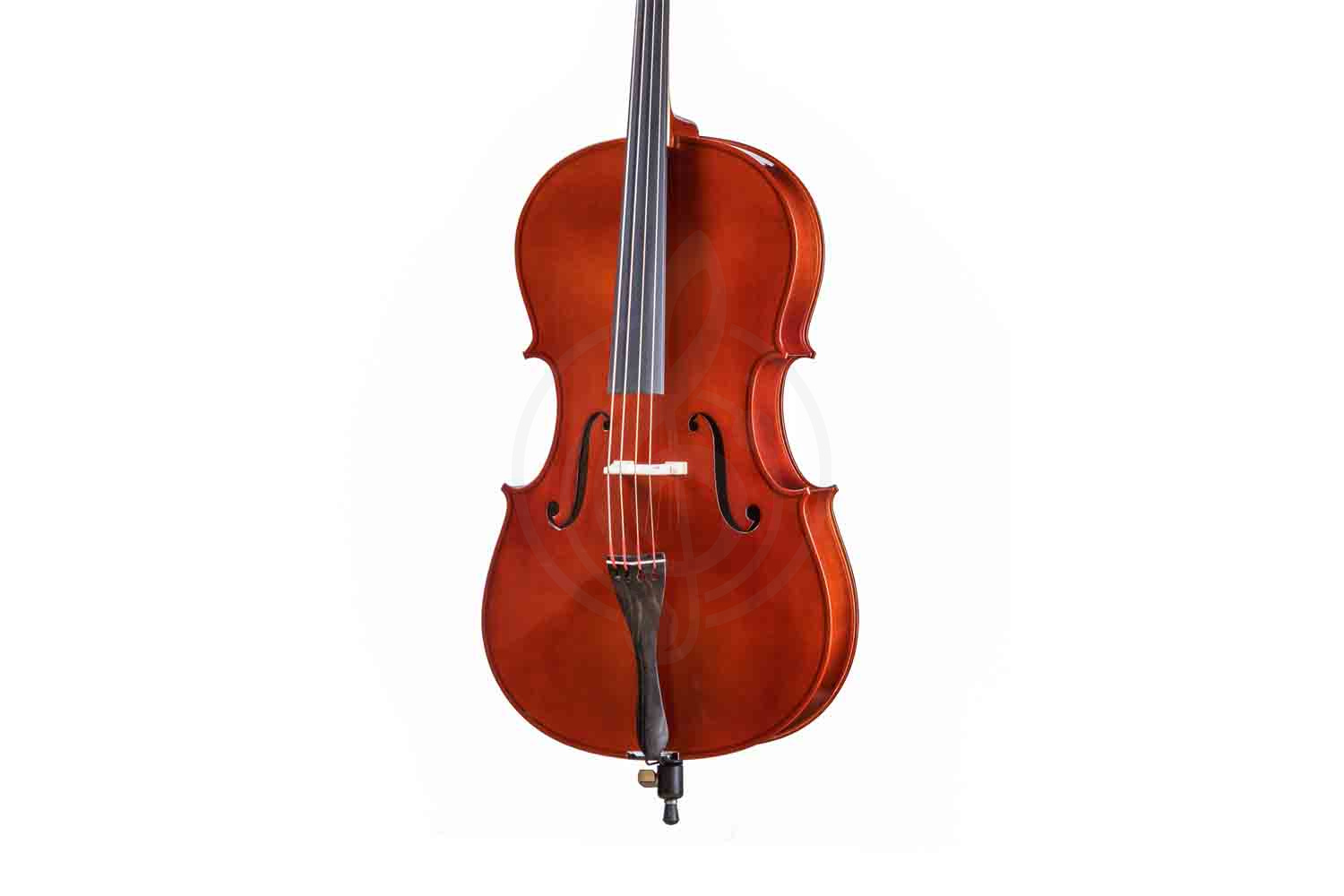 Виолончель 1/2 Gliga B-C012-L Beginer Genial 2 Nitro Laminated - Виолончель 1/2 - фото 6