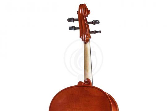 Виолончель 1/2 Gliga B-C012-L Beginer Genial 2 Nitro Laminated - Виолончель 1/2 - фото 2