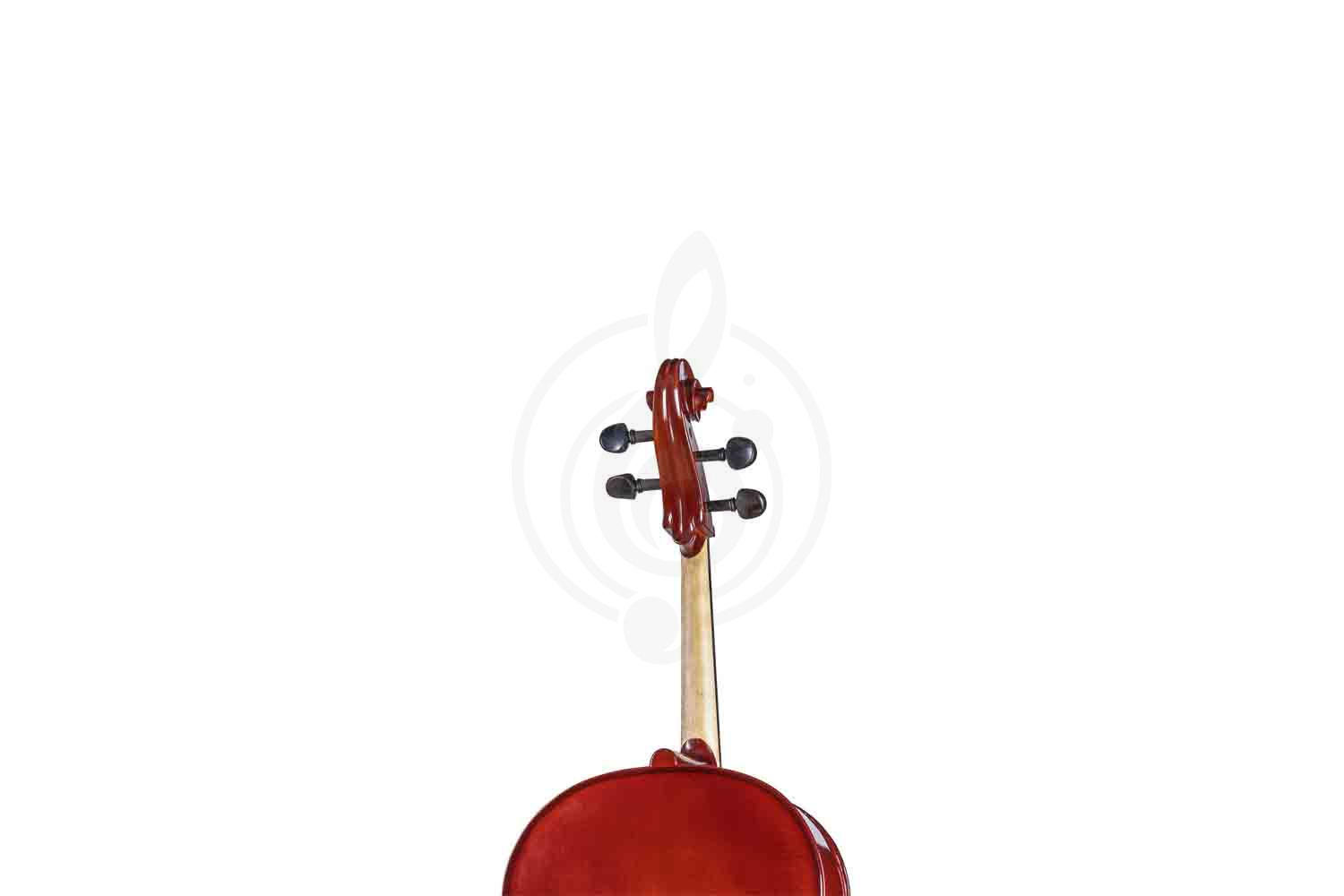 Виолончель 4/4 Gliga B-C044 Beginer Genial 2 Nitro - Виолончель 4/4 - фото 2