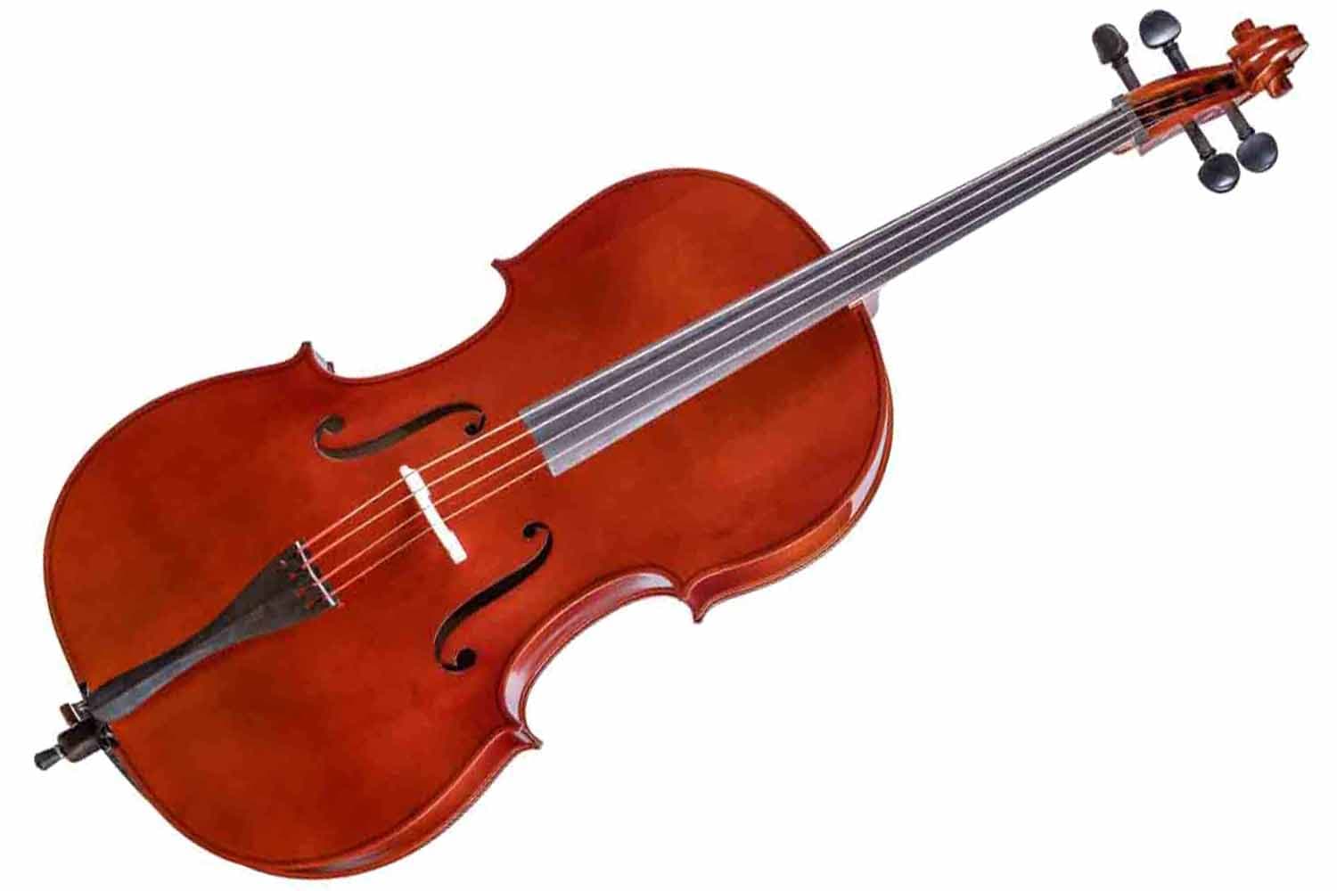 Виолончель 4/4 Gliga B-C044-L Beginer Genial 2 Nitro Laminated - Виолончель 4/4 - фото 1