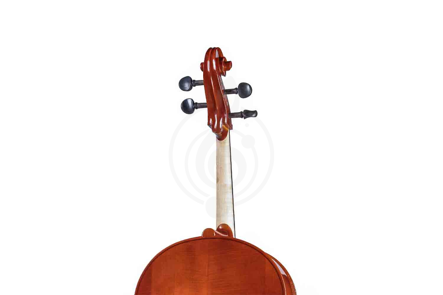 Виолончель 4/4 Gliga B-C044-L Beginer Genial 2 Nitro Laminated - Виолончель 4/4 - фото 2