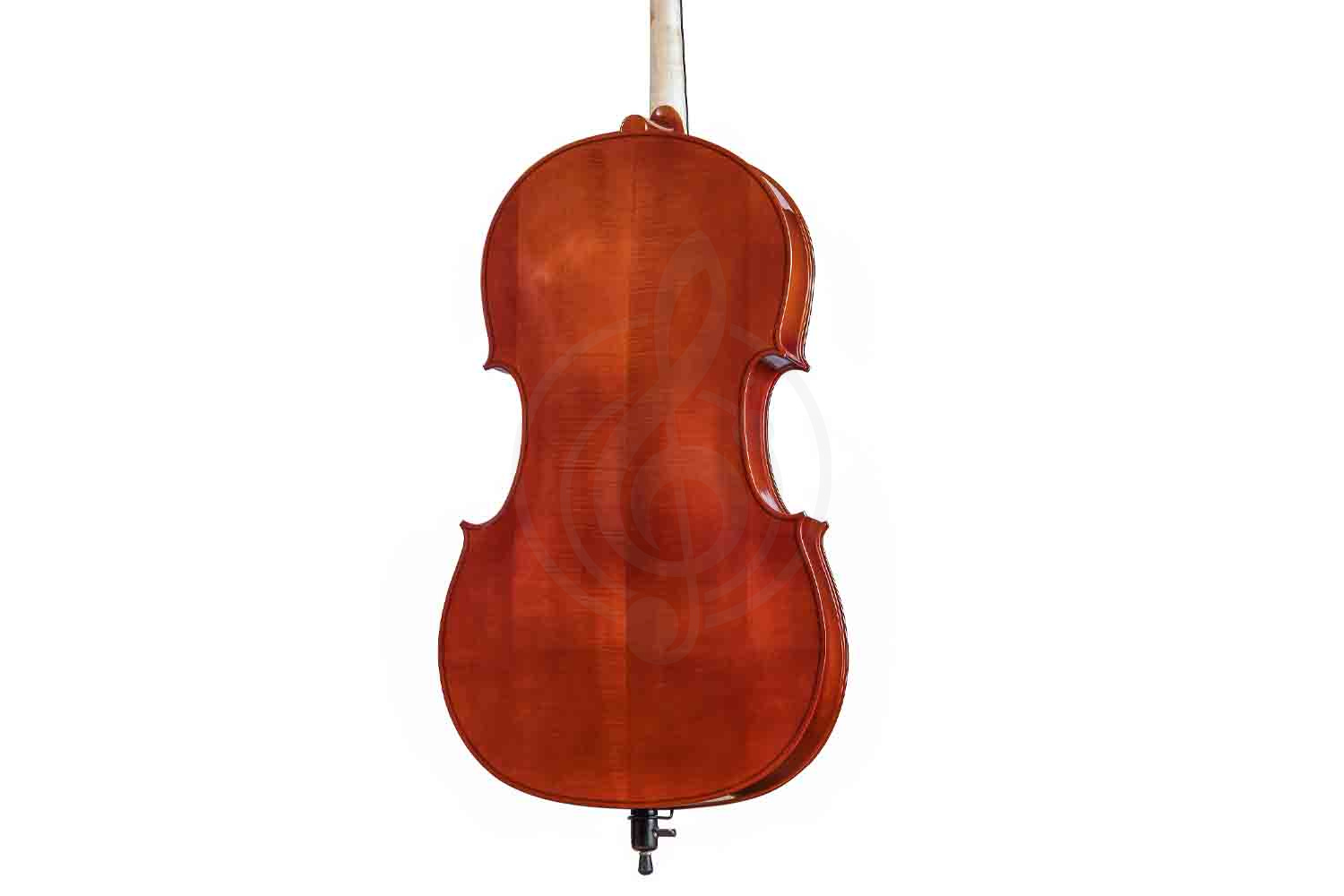 Виолончель 4/4 Gliga B-C044-L Beginer Genial 2 Nitro Laminated - Виолончель 4/4 - фото 3