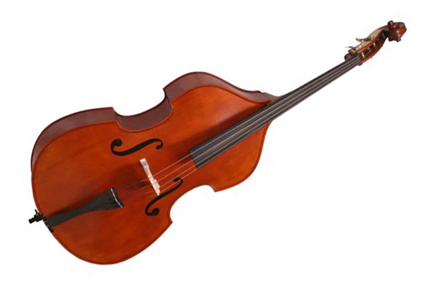 Контрабас Gliga B-D034 Beginner Genial II mixt - Контрабас 3/4 - фото 1