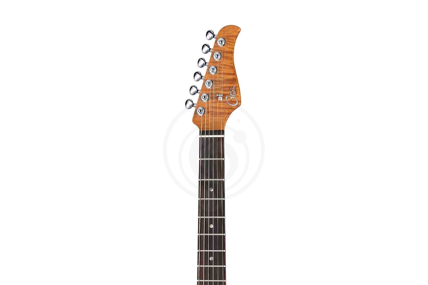 Электрогитара Stratocaster GTRS P800-Professional-800-DN - Электрогитара - фото 3