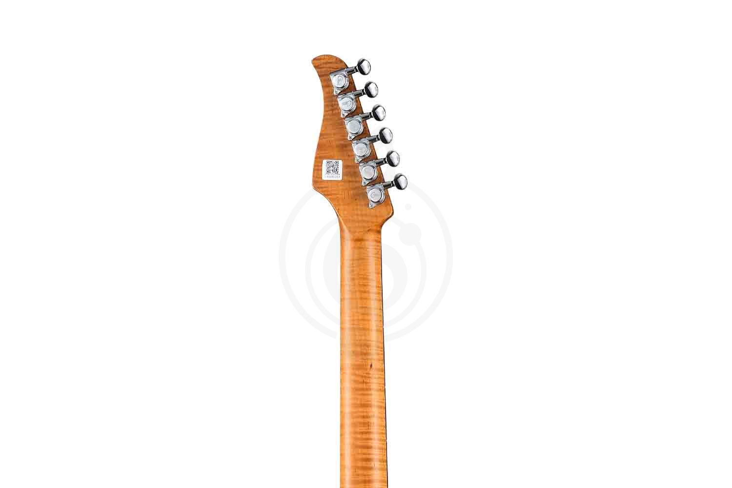 Электрогитара Stratocaster GTRS P800-Professional-800-DN - Электрогитара - фото 11