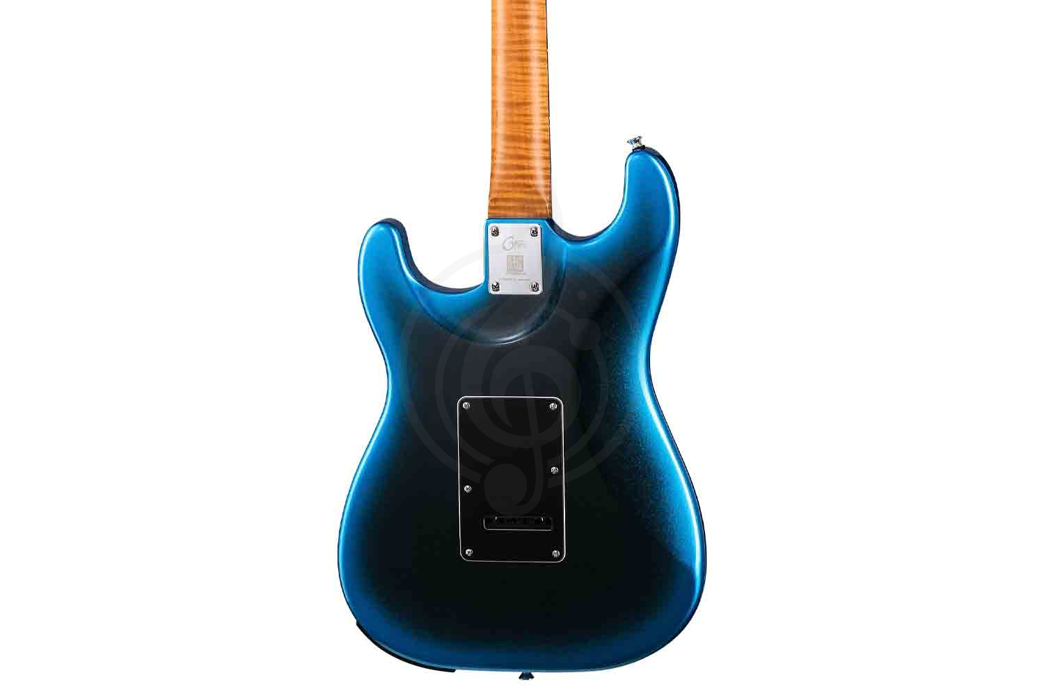 Электрогитара Stratocaster GTRS P800-Professional-800-DN - Электрогитара - фото 12