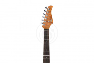 Электрогитара Stratocaster GTRS P800-Professional-800-DN - Электрогитара - фото 3