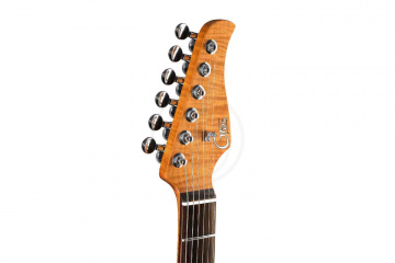 Электрогитара Stratocaster GTRS P800-Professional-800-DN - Электрогитара - фото 7