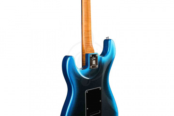 Электрогитара Stratocaster GTRS P800-Professional-800-DN - Электрогитара - фото 8