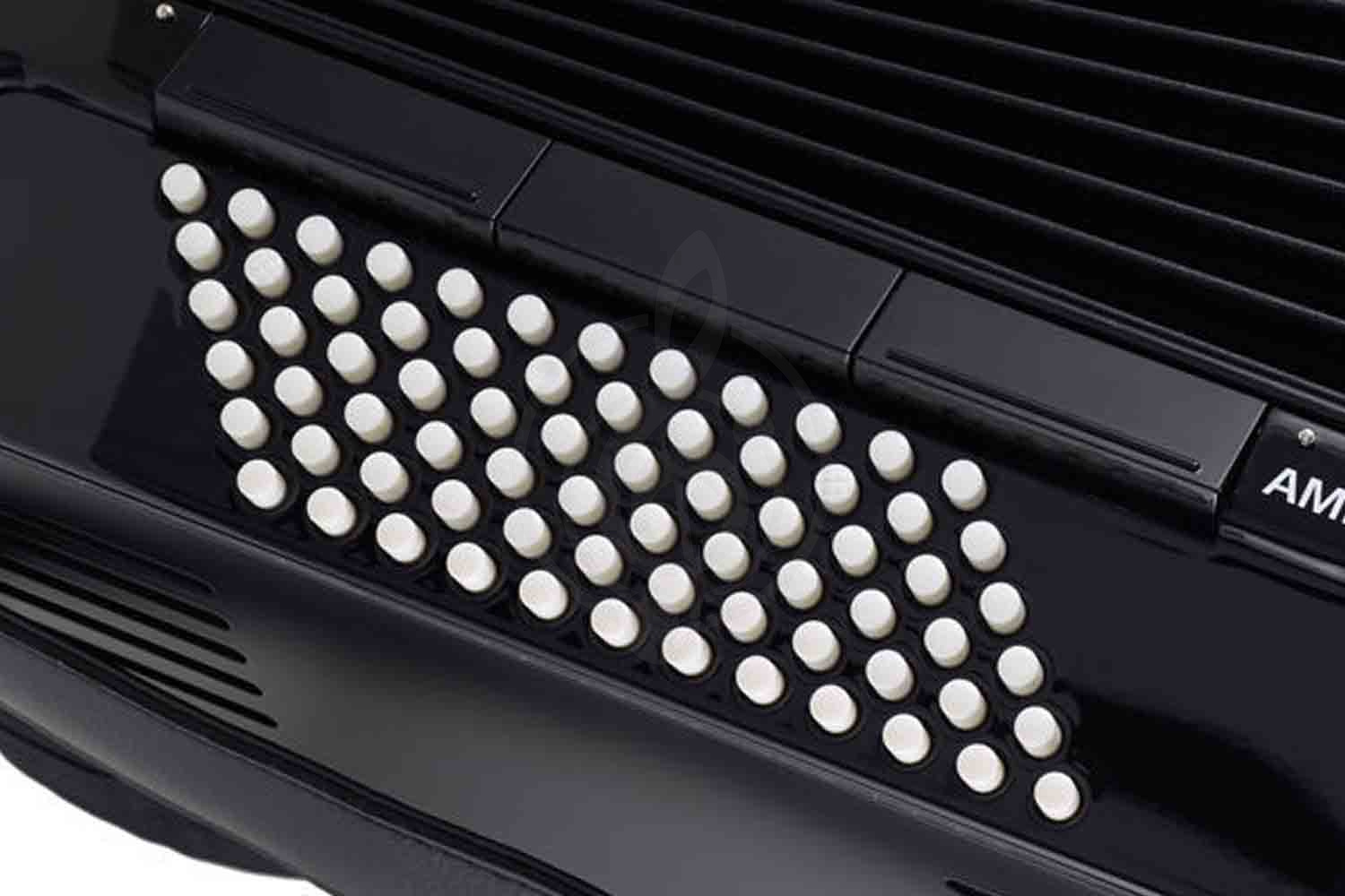 Аккордеон 3/4 Hohner A4362 AMICA III 72 SW/BSTU Аккордеон Hohner - фото 4