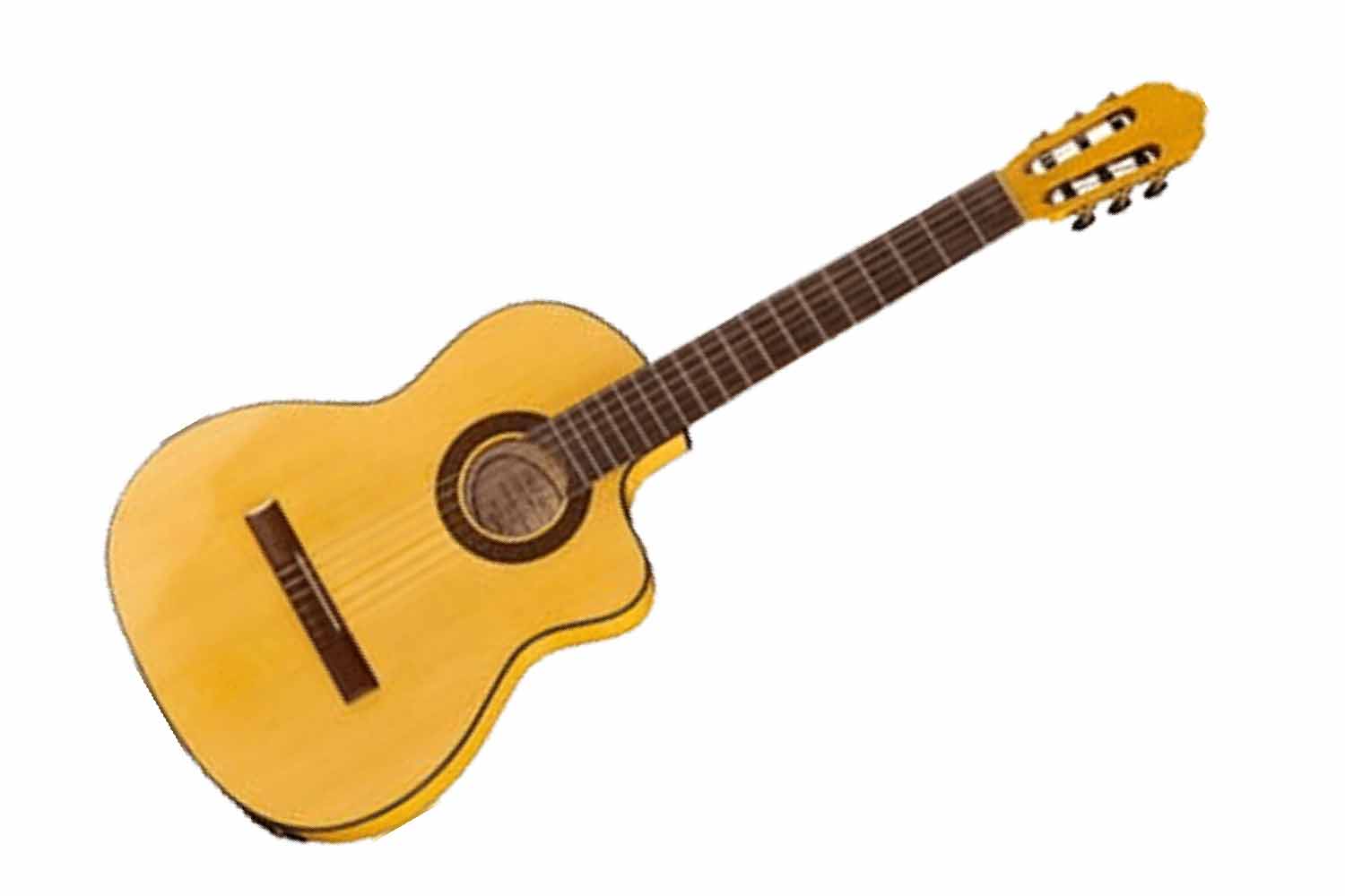 Классическая гитара 4/4 Hora N1105CTW Flamenco CTW - Классическая гитара - фото 1