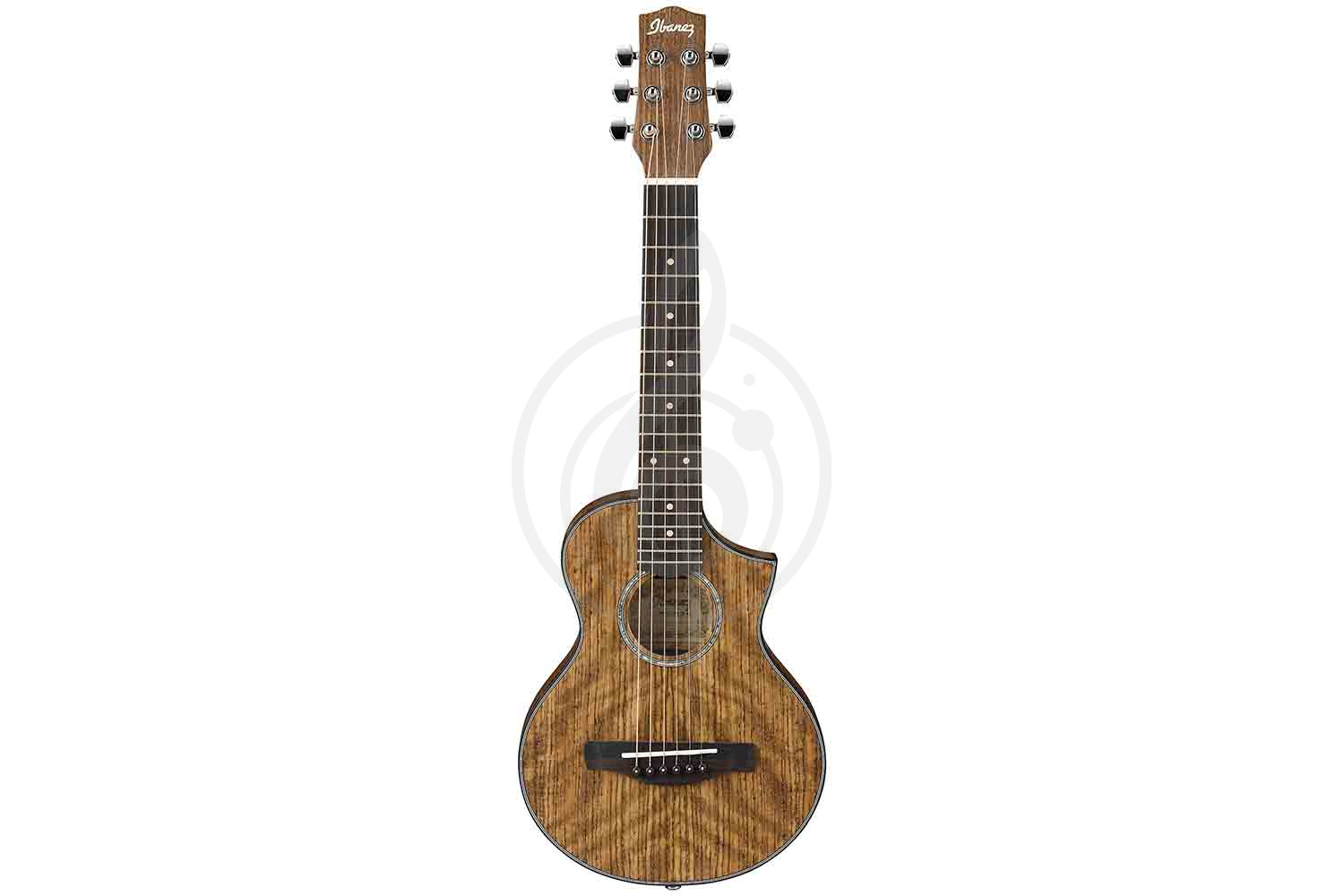 Акустическая гитара IBANEZ EWP14WB-OPN - Акустическая гитара - фото 1