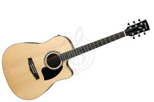 Изображение Ibanez PF15ECE-NT