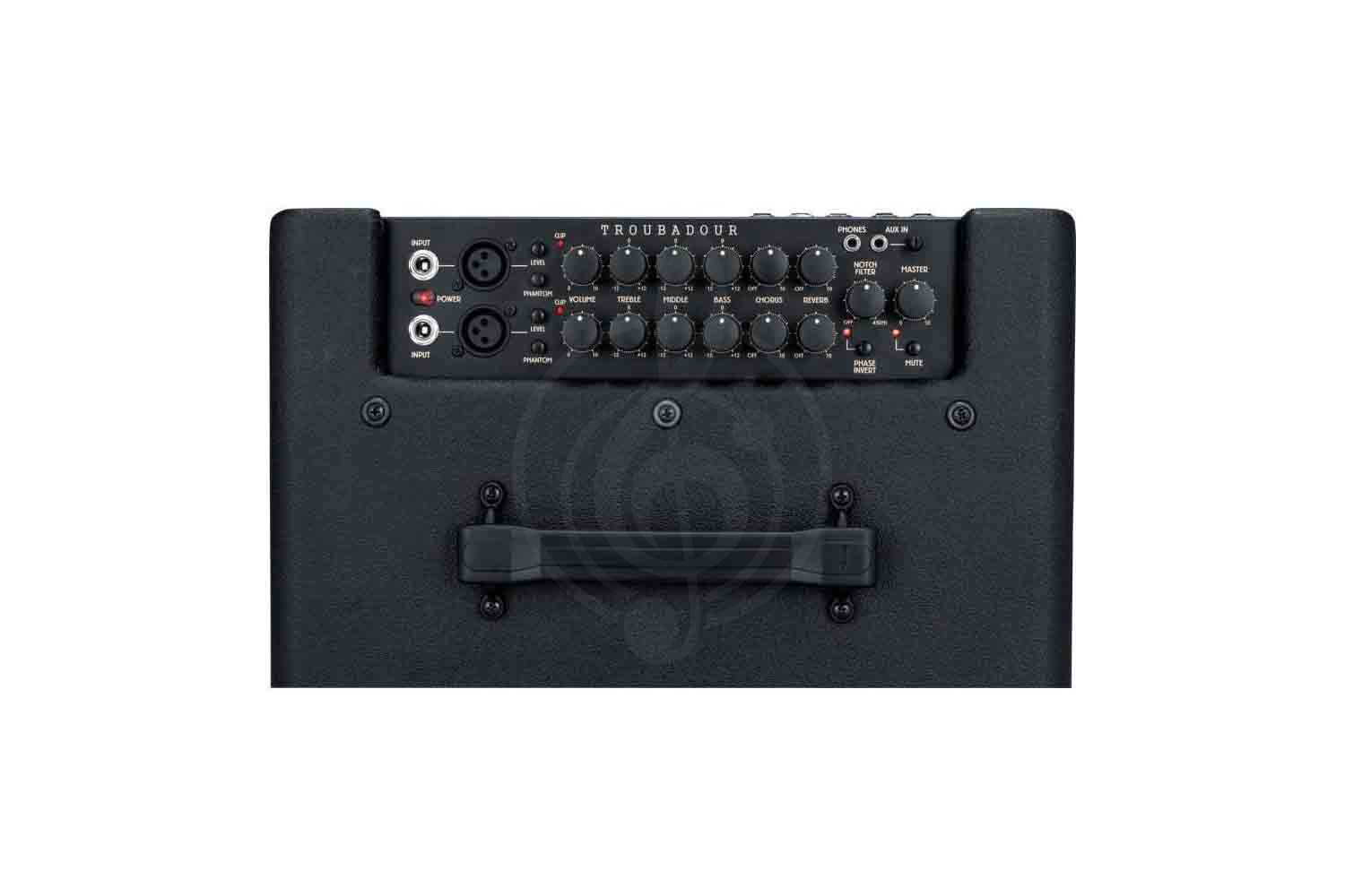 Комбоусилитель для акустической гитары IBANEZ T30II TROUBADOUR ACOUSTIC COMBO - Комбо для акустической гитары - фото 3