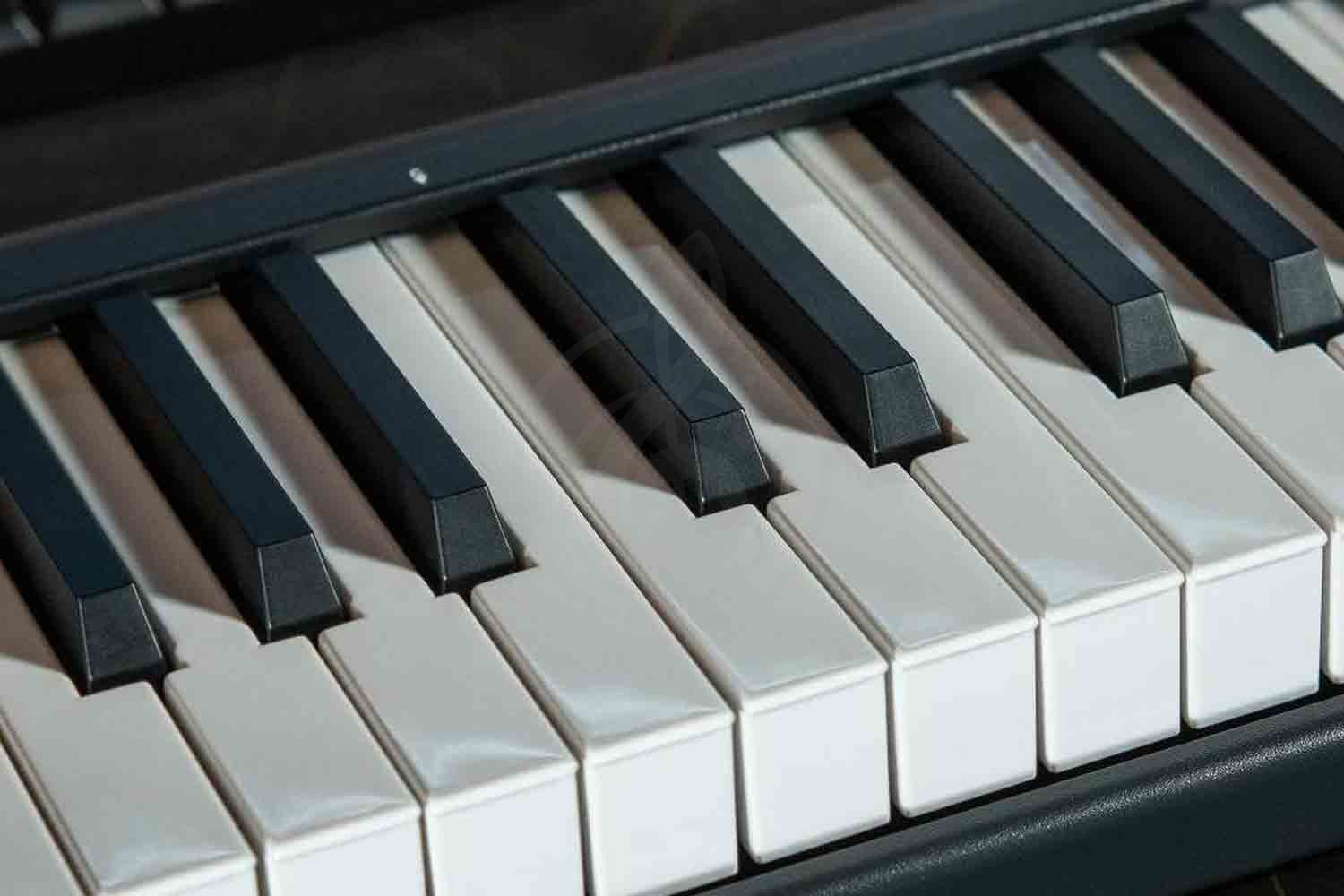 MIDI-клавиатура iCON iKeyboard 4X Black - MIDI-клавиатура - фото 2
