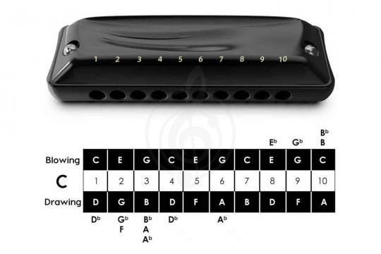 Диатоническая губная гармошка JDR Ninja-A - Губная гармошка - фото 5