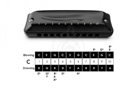 Диатоническая губная гармошка JDR Ninja-C - Губная гармошка - фото 7