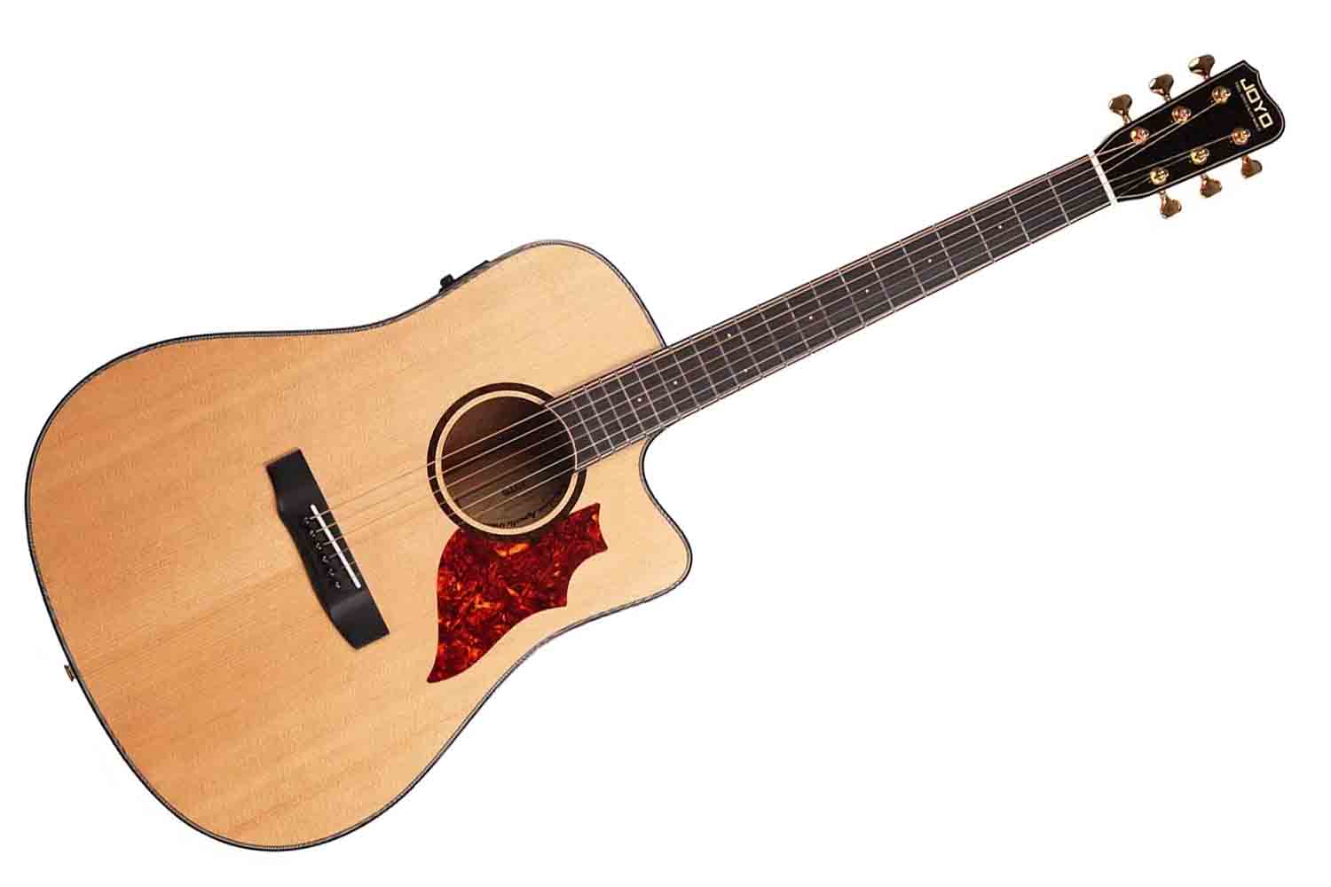 Трансакустическая гитара Joyo JWGT-02 - Гитара акустическая - фото 1