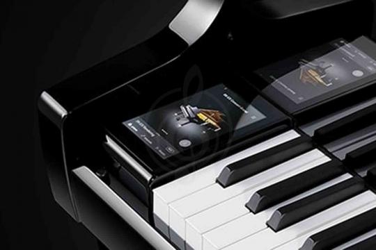 KAWAI NV10S - цифровой рояль, 88 клавиш - фото 2 Цифровой рояль KAWAI NV10S - цифровой рояль, 88 клавиш - фото 2
