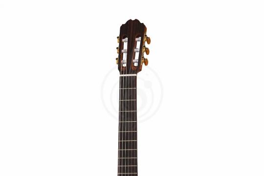 Классическая гитара 4/4 Kremona R65CW-TL Performer Series Rondo - Классическая гитара - фото 7