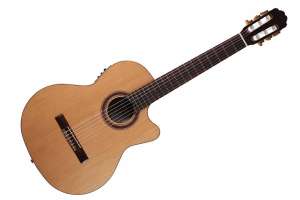 Изображение Kremona R65CWC Performer Series Rondo