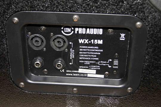 Монитор сценический пассивный Leem WX-15MP - Сценический монитор - фото 2