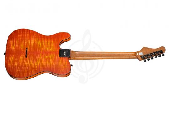 Luxars S-G27-HB - Электрогитара - фото 8 Электрогитара Telecaster Luxars S-G27-HB - Электрогитара - фото 8