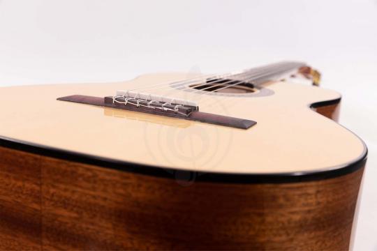 Классическая гитара 4/4 Martinez MC-20S/wbag Elementary Series - Классическая гитара - фото 10