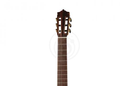 Классическая гитара 4/4 Martinez MC-48S 4/4 - Классическая гитара - фото 7