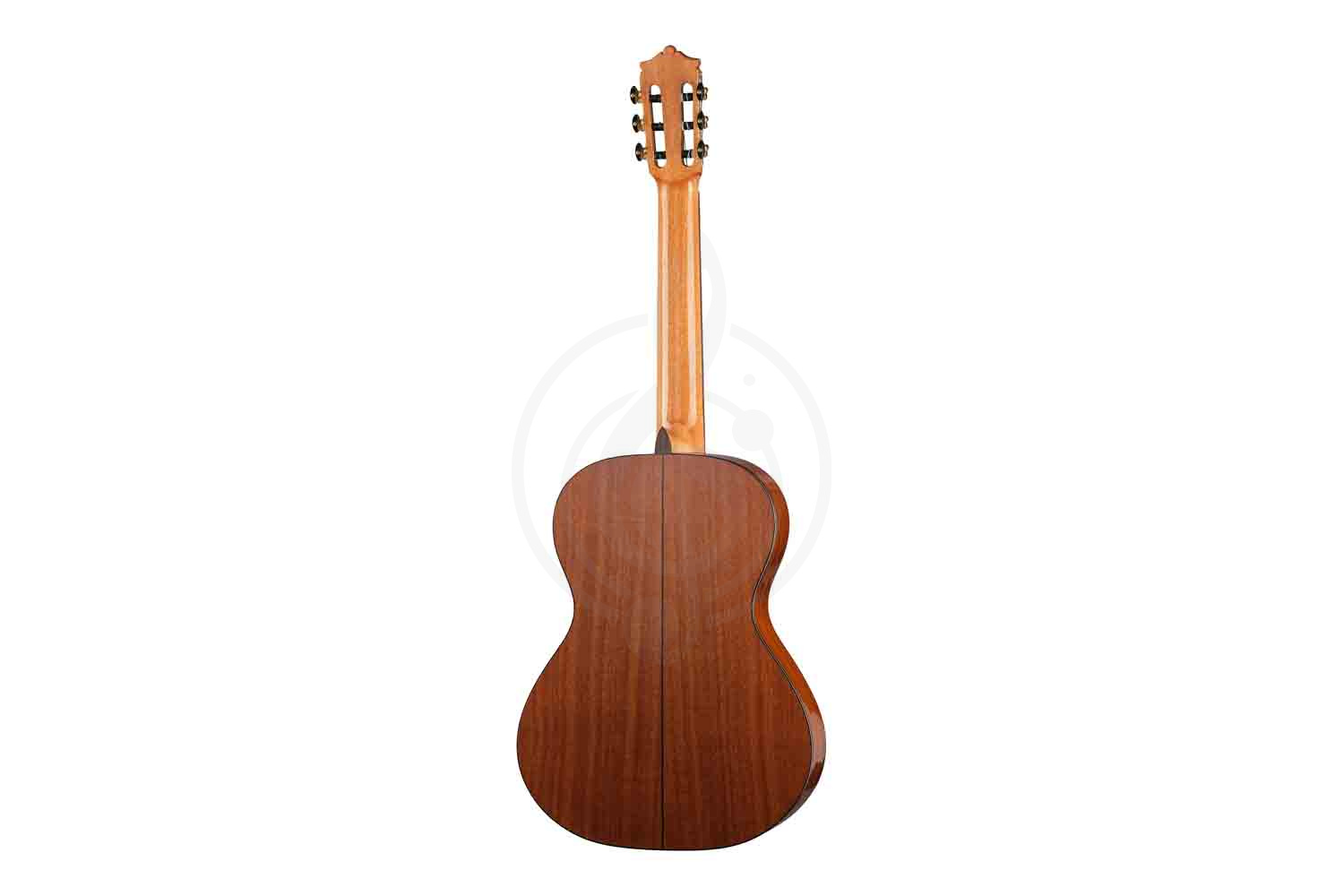 Классическая гитара 4/4 Martinez MC-48S 4/4 - Классическая гитара - фото 5