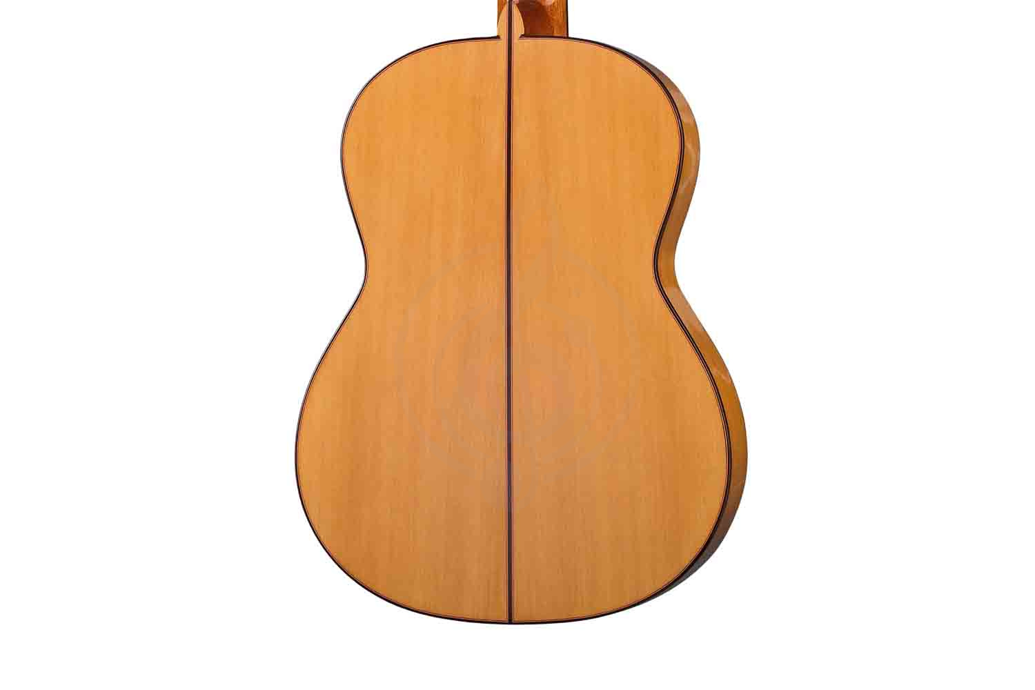 Классическая гитара 4/4 Martinez MF-17 - Классическая гитара - фото 3