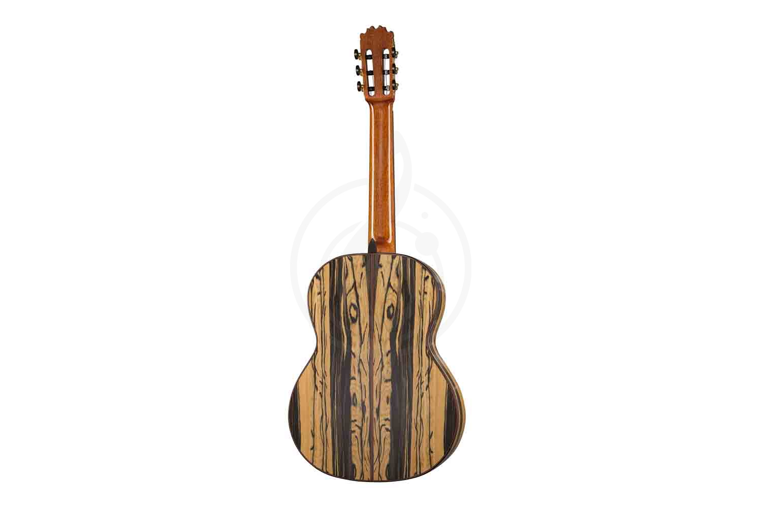 Классическая гитара 4/4 Martinez MF-7 - Классическая гитара - фото 6