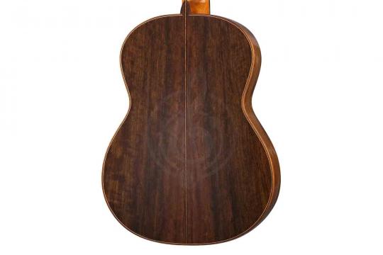 Классическая гитара 4/4 Martinez MM10-Martinez - Классическая гитара - фото 3